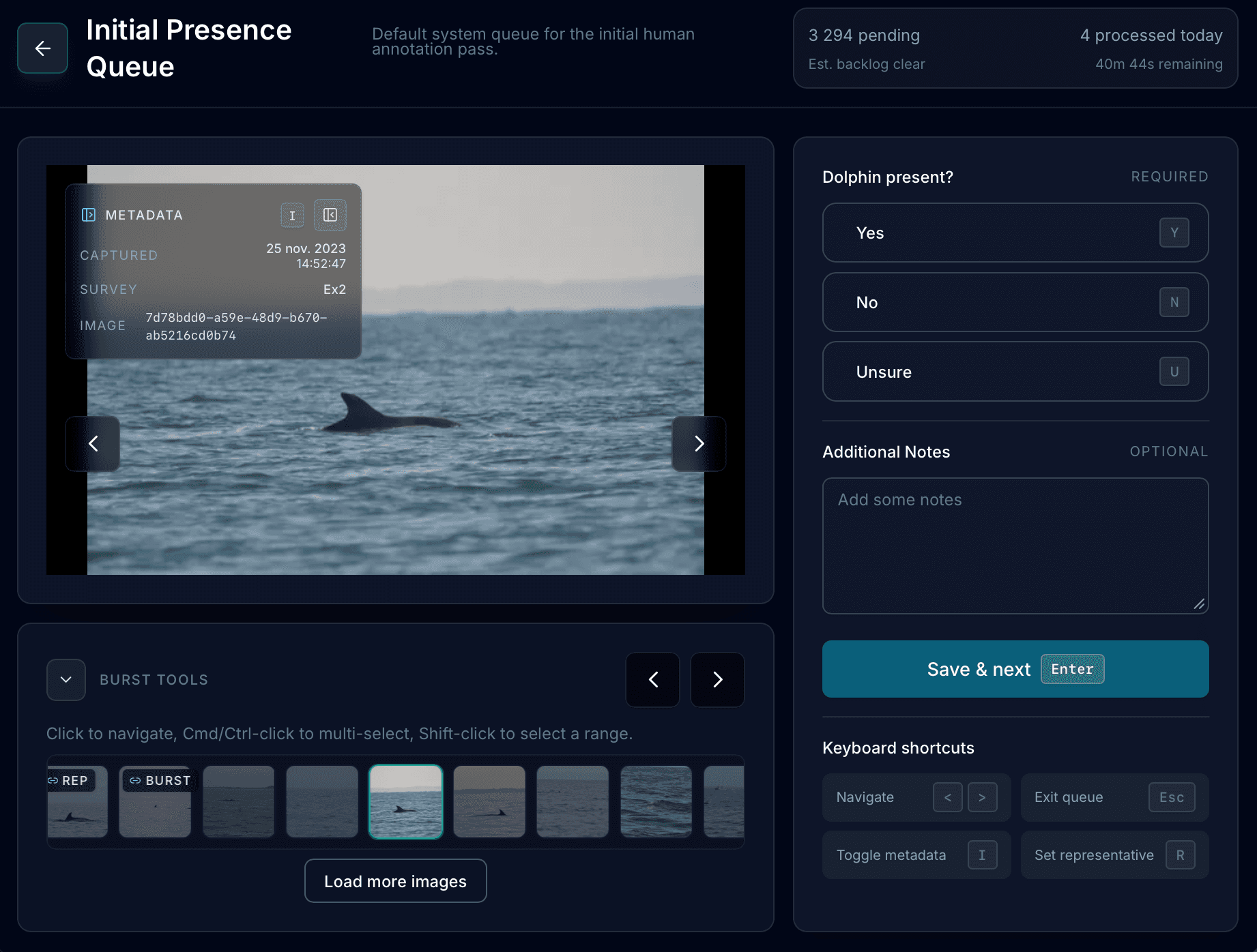 Annotation workspace interface showing structured marine mammal photo-identification review